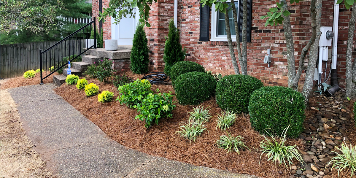 CUTTER GALLERY IMAGES 10