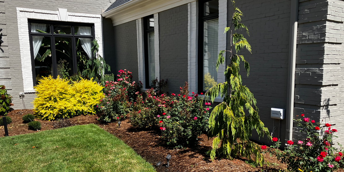 CUTTER GALLERY IMAGES 12