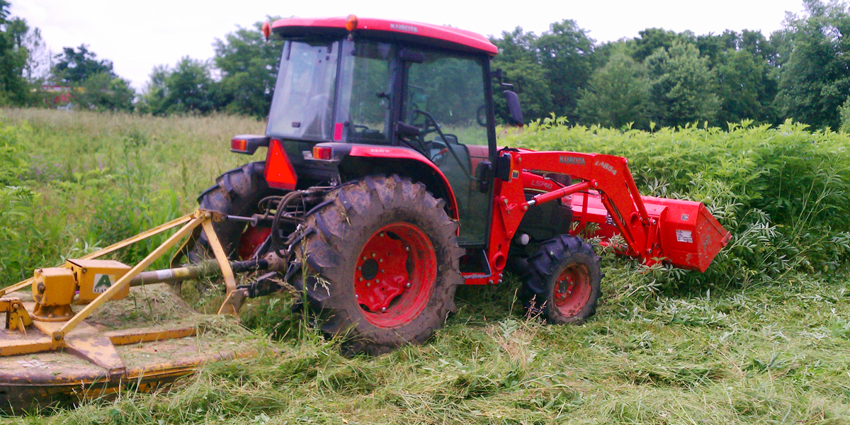 CUTTER GALLERY IMAGES 2